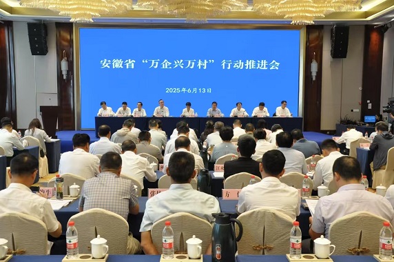 安徽省“万企兴万村”行动推进会在铜陵举行